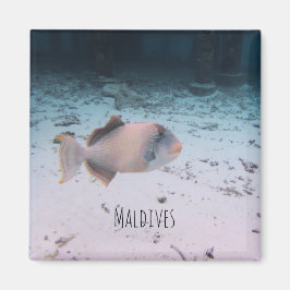 Maldives Underwater Coral Fish Souvenir Magnet