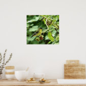 Male American Goldfinch Poster (Küche)