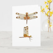Male Calico Pennant Dragonfly - 2 Ansichten Karte (Gelbe Blume)