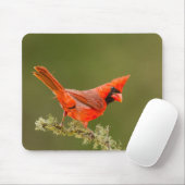 Male Cardinal on Limb Mousepad (Mit Mouse)