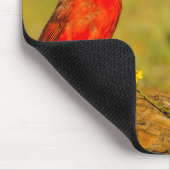 Male Cardinal on Log Mousepad (Ecke)