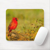 Male Cardinal on Log Mousepad (Mit Mouse)