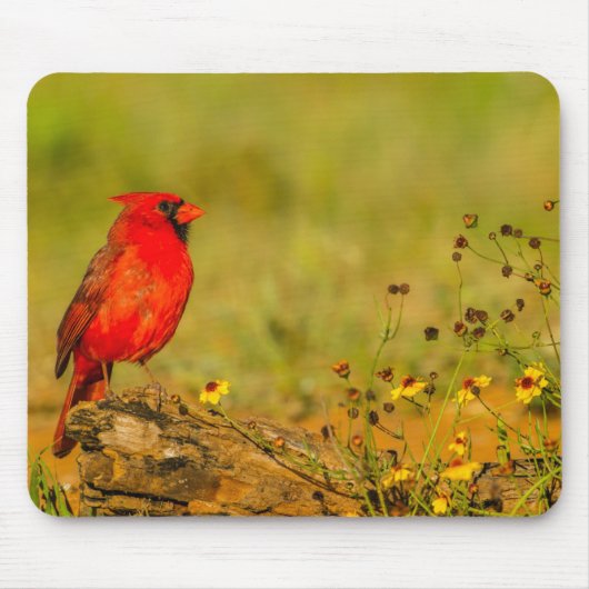 Male Cardinal on Log Mousepad (Vorne)