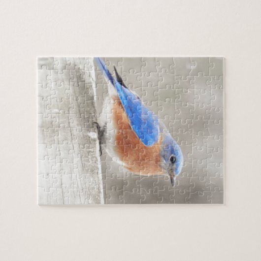 Male Eastern Bluebird Puzzle (Horizontal)