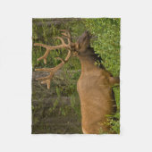 Male Elk | Banff National Park, Alberta, Kanada Fleecedecke (Vorderseite)