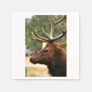 Male Elk Serviette