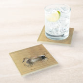 Male Gadwall Duck Glasuntersetzer (Schrägansicht)