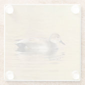 Male Gadwall Duck Glasuntersetzer (Rückseite)