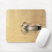 Male Gadwall Mousepad (Mit Mouse)