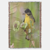 Male Goldfinch steht auf Blume Decke (Vorderseite Vertikal)