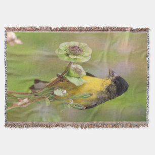 Male Goldfinch steht auf Blume Decke