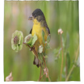 Male Goldfinch steht auf Blume Duschvorhang (Vorderseite)