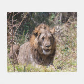 Male Lion Fleece Blanket (Vorderseite (Horizontal))