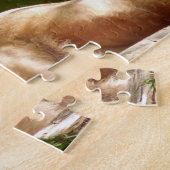 MALE LION FOTOGRAFIE PUZZLES (Seite)