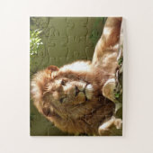 MALE LION FOTOGRAFIE PUZZLES (Vertikal)