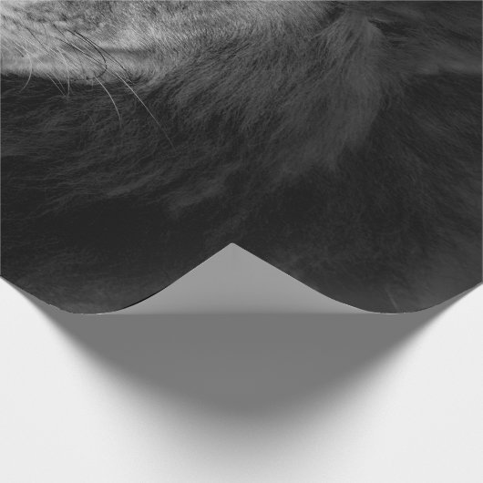 MALE LION GESCHENKPAPIER (Ecke)