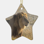 MALE LION KERAMIK ORNAMENT (Links)