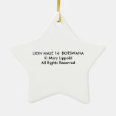 MALE LION KERAMIK ORNAMENT (Hinten)