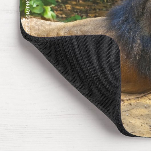 Male Lion Mousepad (Ecke)