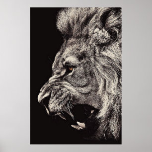 Male-Lion Poster