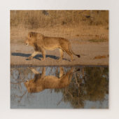 MALE LION REFLECTED PUZZLE (Vertikal)