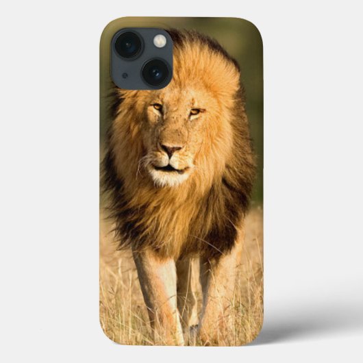 Male Lion Walking Case-Mate iPhone Hülle (Rückseite)