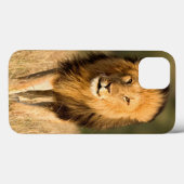 Male Lion Walking Case-Mate iPhone Hülle (Rückseite (Horizontal))
