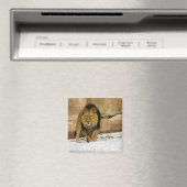 Male Lion Walking Magnet (In Situ (Geschirrspüler))