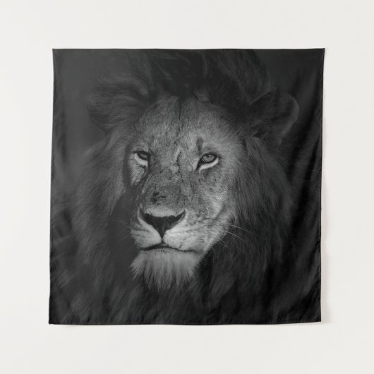 MALE LION WANDTEPPICH (Vorderseite)