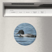 Male loon Magnet (In Situ (Geschirrspüler))