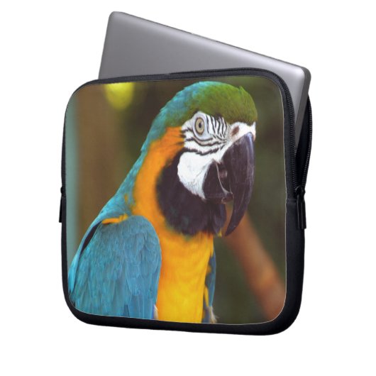 Male Macaw Laptopschutzhülle (Vorderseite Links)