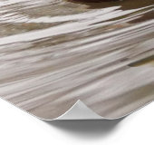 Male Mallard Duck Poster (Ecke)