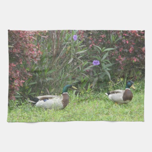 Male Mallard Ducks Küchenhandtücher Geschirrtuch (Horizontal)