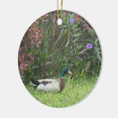 Male Mallard Ducks Ornament (Links)