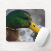 Male Mallard Portrait Mousepad (Mit Mouse)