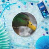 Male Mallard Portrait Pappteller (Party)