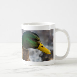 Male Mallard Portrait Tasse