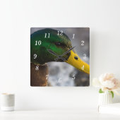 Male Mallard Portrait Wall Clock Quadratische Wanduhr (Zuhause)