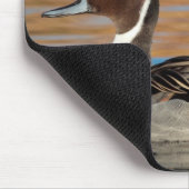 Male Northern Pintail Mousepad (Ecke)