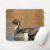 Male Northern Pintail Mousepad (Mit Mouse)
