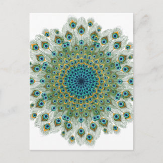 Male Peacock Colorful Mandala Postkarte