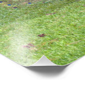 Male Peacock Foto (Ecke)