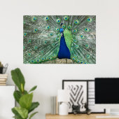 Male Peacock Poster (Heimbüro)