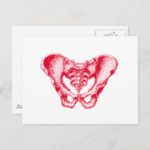 Male Pelvis Red Postkarte (Vorne/Hinten)