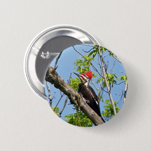 Male Pileated Woodpecker Button (Vorne & Hinten)