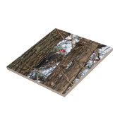 Male Pileated Woodpecker Fliese (Seite)