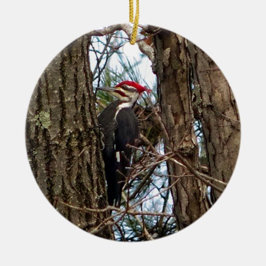 Male Pileated Woodpecker Keramik Ornament (Vorne)
