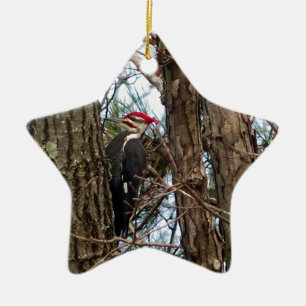 Male Pileated Woodpecker Keramik Ornament