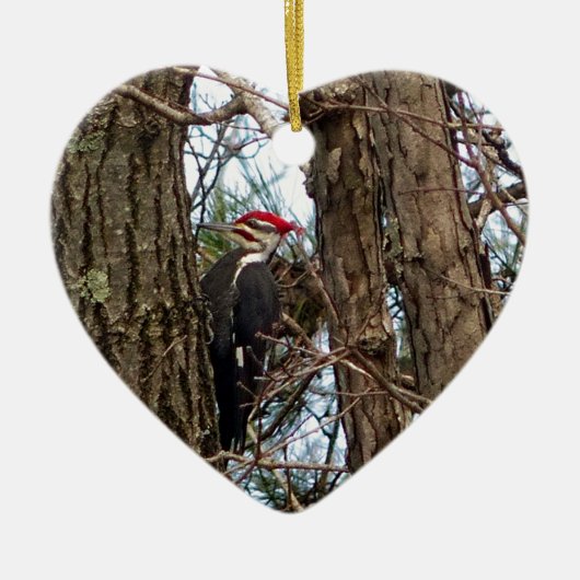 Male Pileated Woodpecker Keramikornament (Vorne)