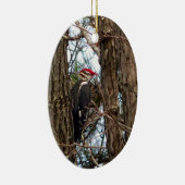 Male Pileated Woodpecker Keramikornament (Rechts)